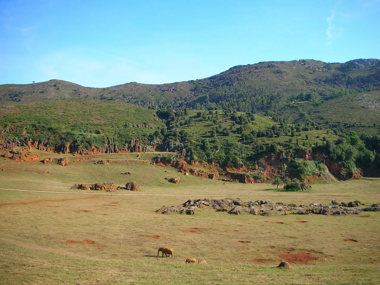 Parque de Cabárceno
