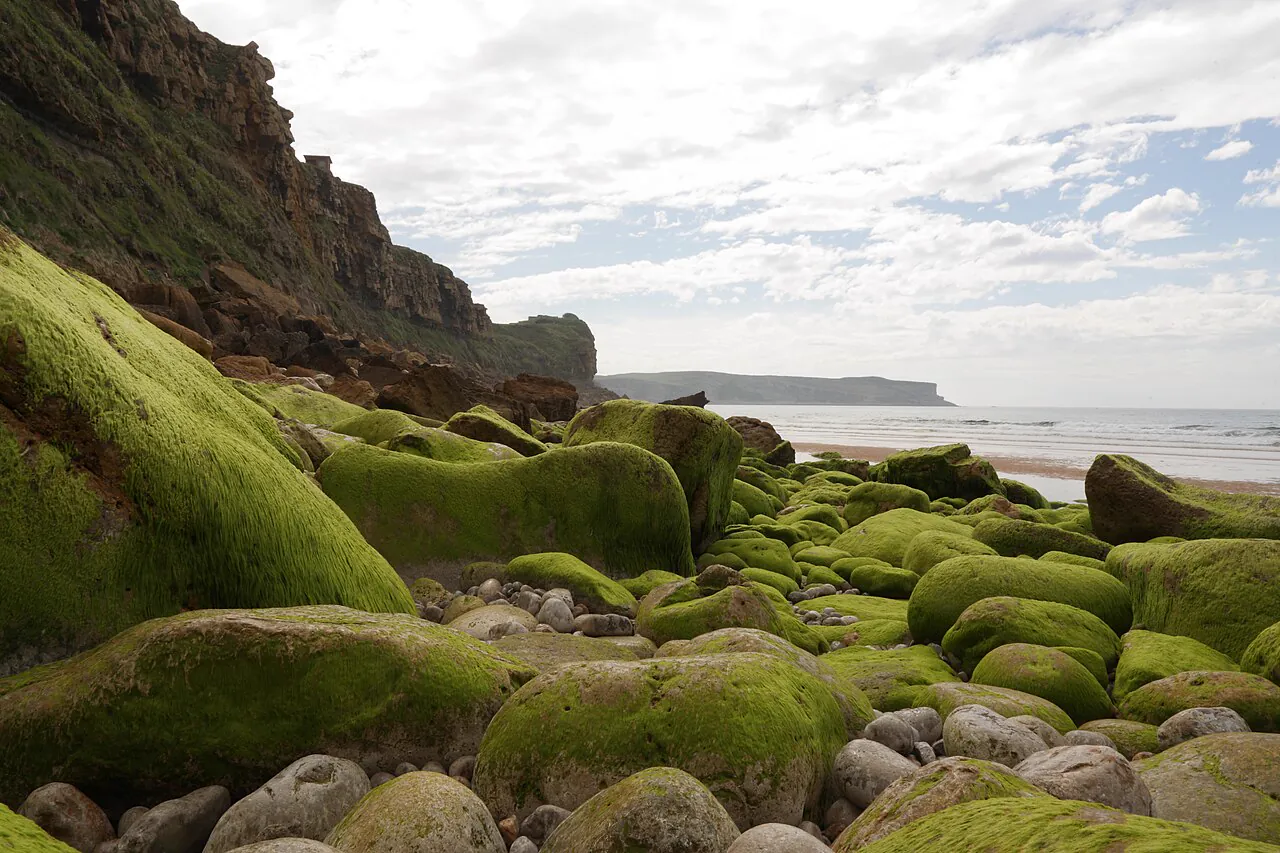 Playa de Los Locos