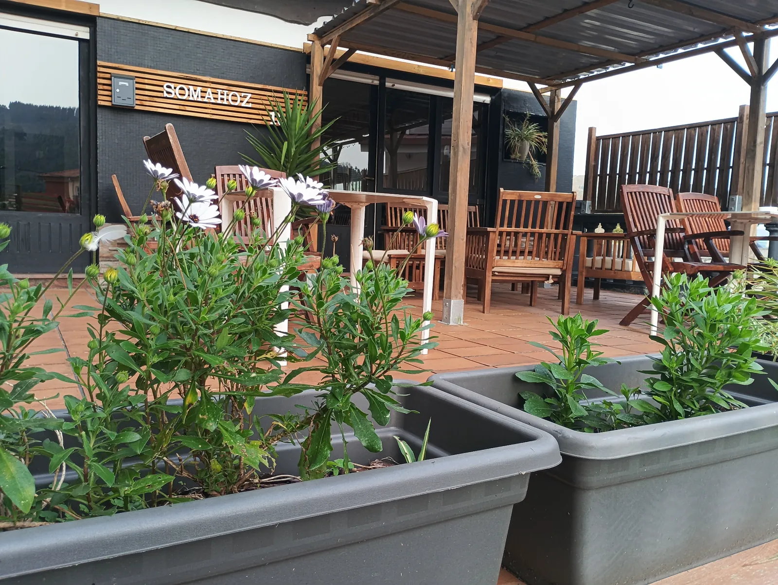 Terraza y zona exterior